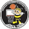 https://img.art007.com/img/basketball/team/e416830f4083698237c559f8988ddb25.png