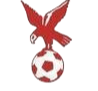 https://img.art007.com/img/football/team/4802d26df935b78bb2fcdbbff36e8864.png