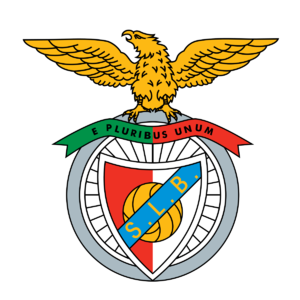 https://img.art007.com/img/football/team/725ee1f8f113e71c752a62503960623c.png